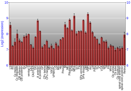 Expression graph
