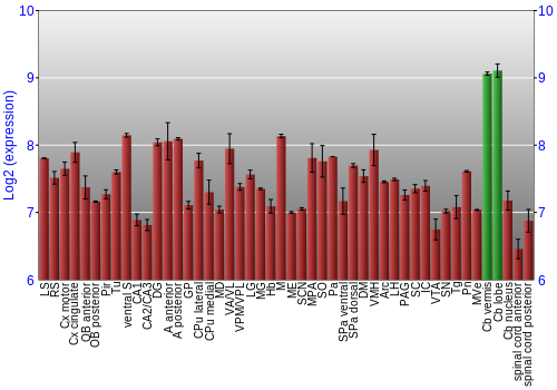 Multi-state expression graph
