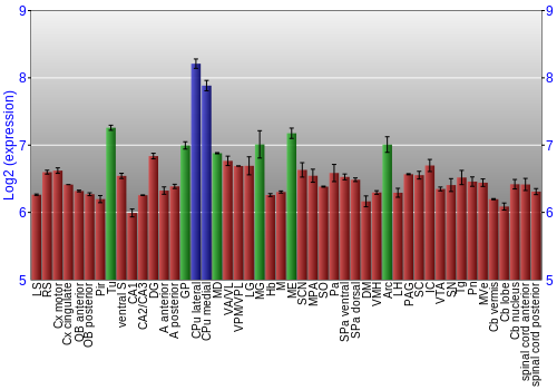 Multi-state expression graph