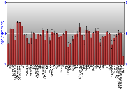 Expression graph