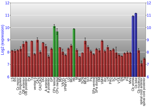Multi-state expression graph