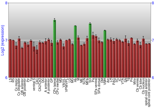 Multi-state expression graph