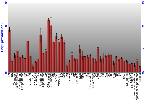 Expression graph