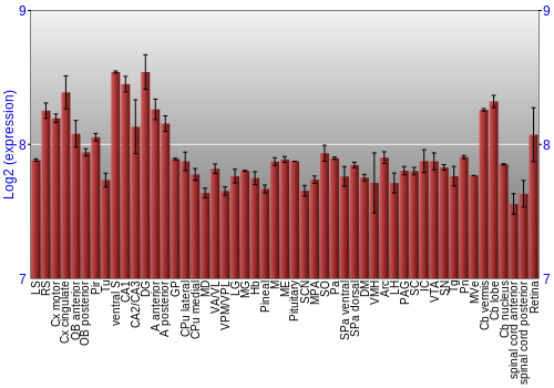 Expression graph