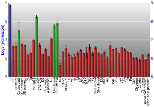 Multi-state expression graph