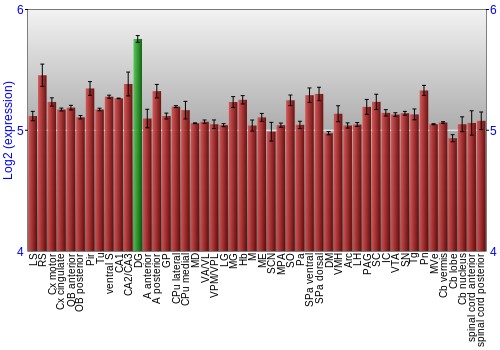 Multi-state expression graph