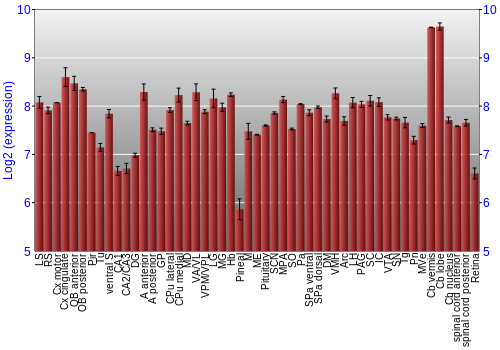 Expression graph