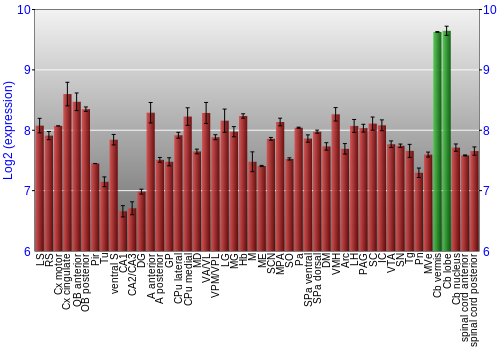 Multi-state expression graph