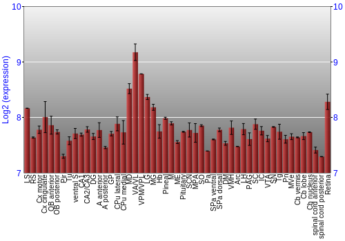 Expression graph