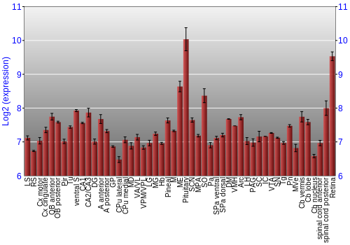 Expression graph