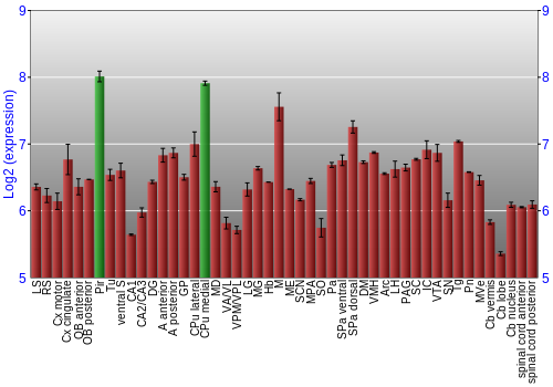 Multi-state expression graph