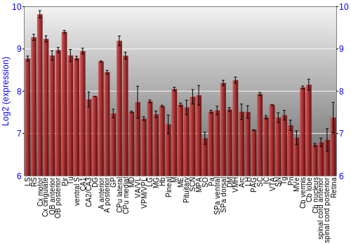 Expression graph