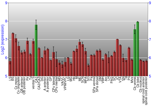 Multi-state expression graph