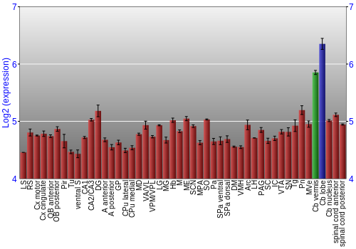 Multi-state expression graph