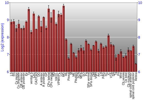 Expression graph