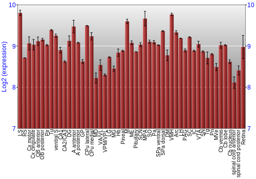 Expression graph