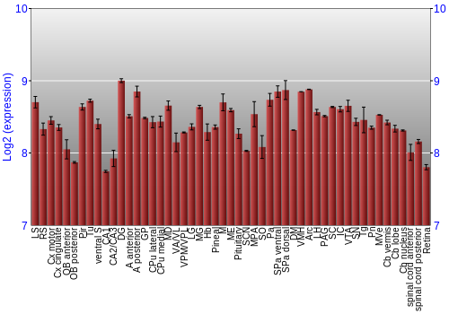 Expression graph