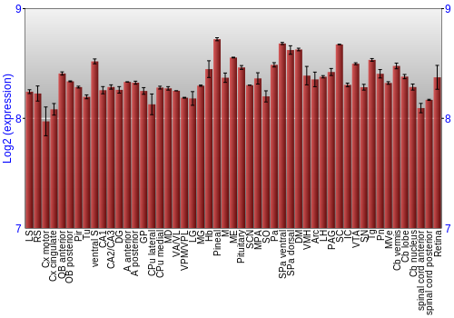Expression graph