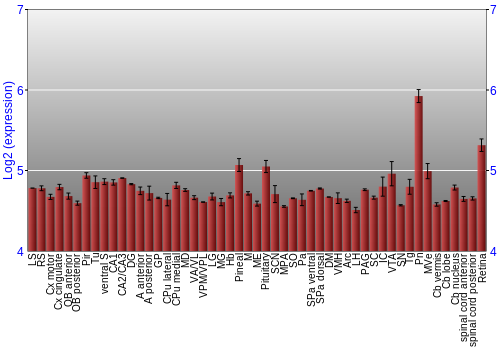 Expression graph