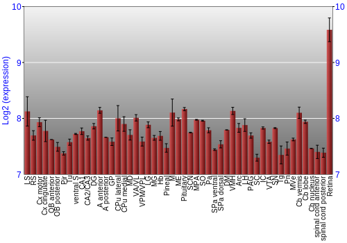 Expression graph