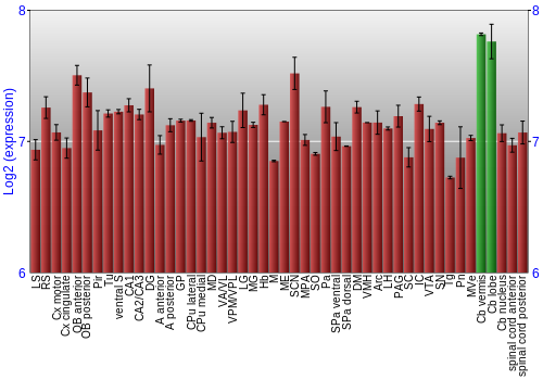 Multi-state expression graph