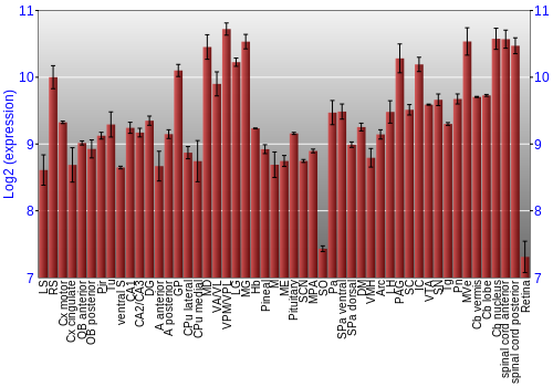 Expression graph