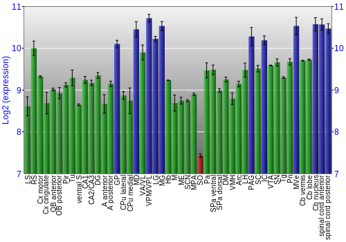 Multi-state expression graph