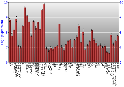 Expression graph
