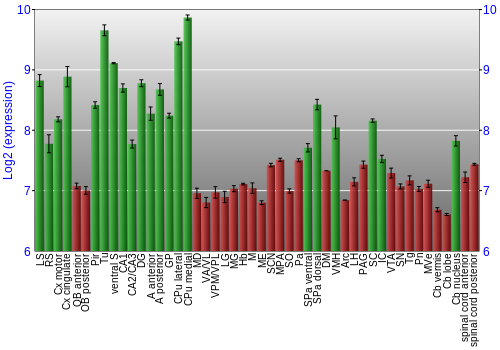 Multi-state expression graph
