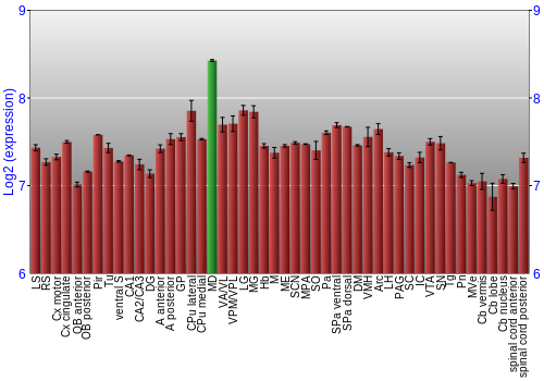 Multi-state expression graph
