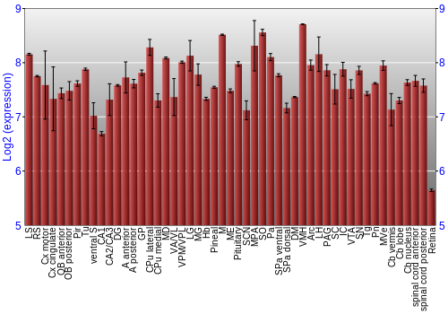 Expression graph