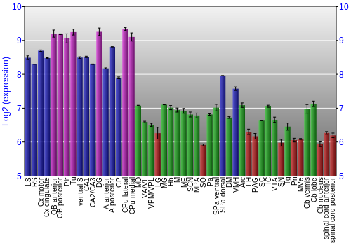 Multi-state expression graph