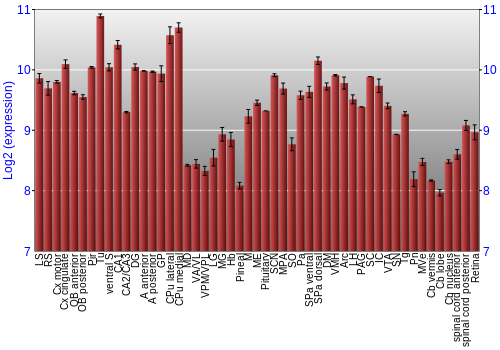 Expression graph