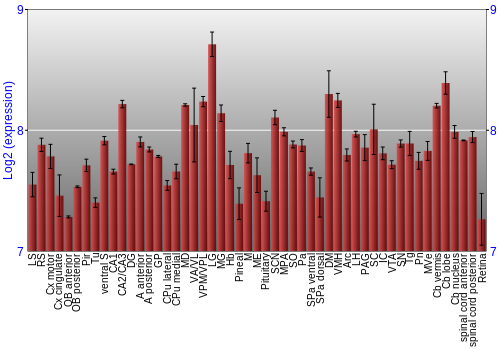 Expression graph
