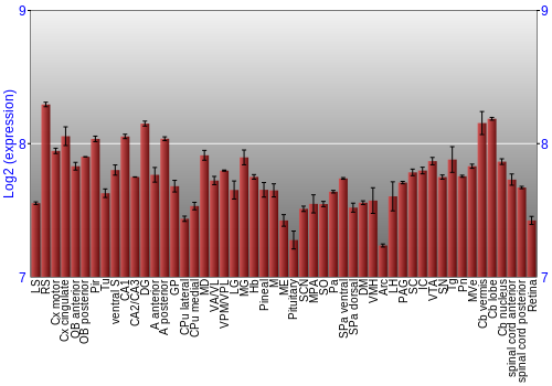 Expression graph