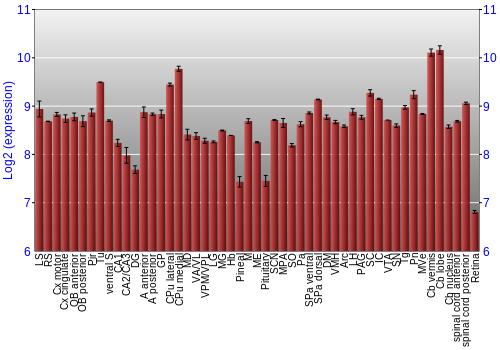 Expression graph