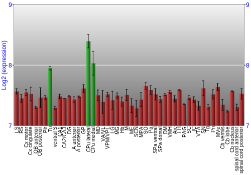 Multi-state expression graph