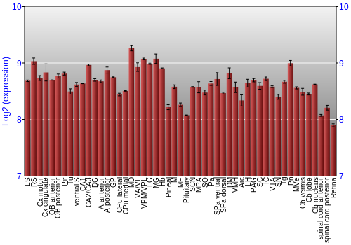 Expression graph