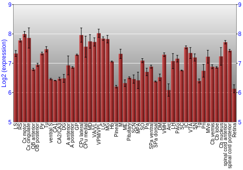 Expression graph