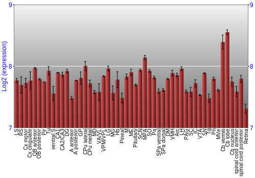 Expression graph