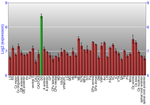 Multi-state expression graph