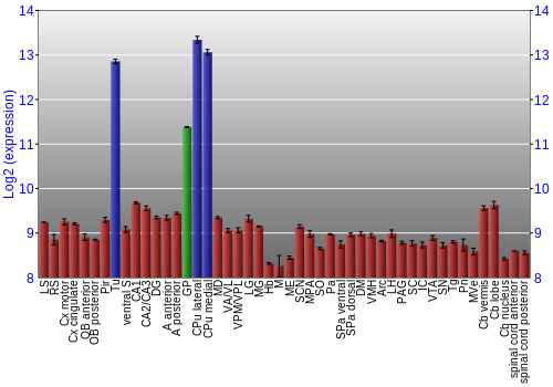 Multi-state expression graph