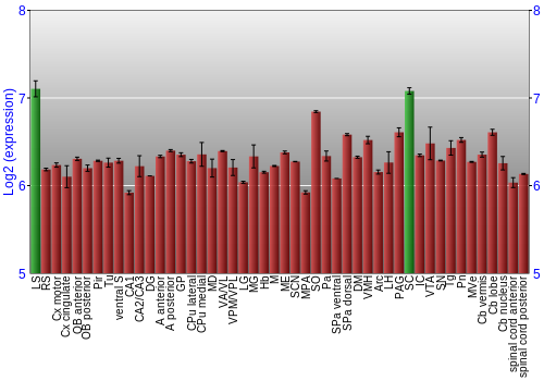 Multi-state expression graph