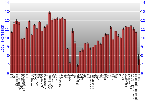 Expression graph