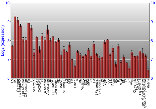 Expression graph
