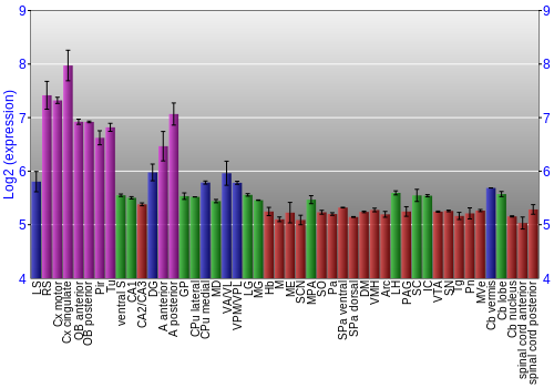 Multi-state expression graph