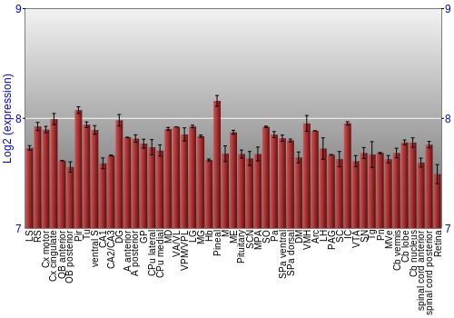 Expression graph