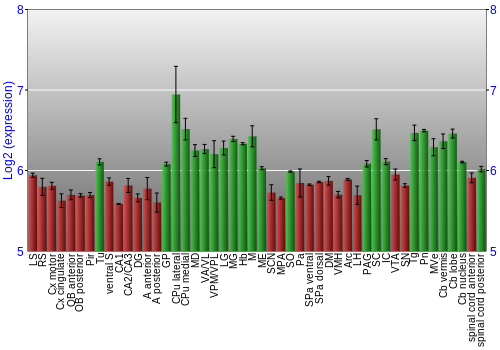 Multi-state expression graph