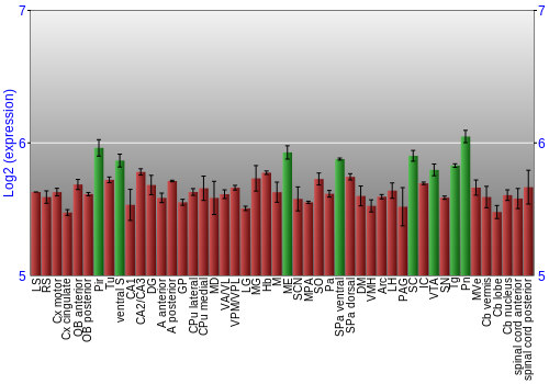 Multi-state expression graph