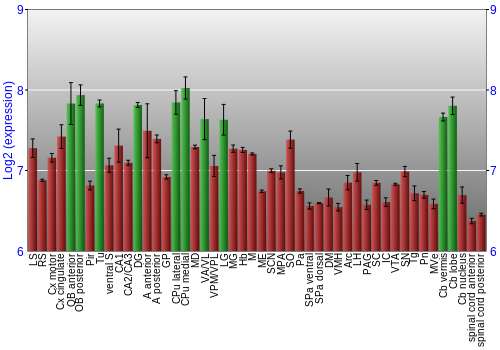 Multi-state expression graph